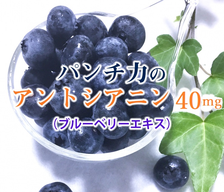 パンチ力のアントシアニン（ブルーベリーエキス）