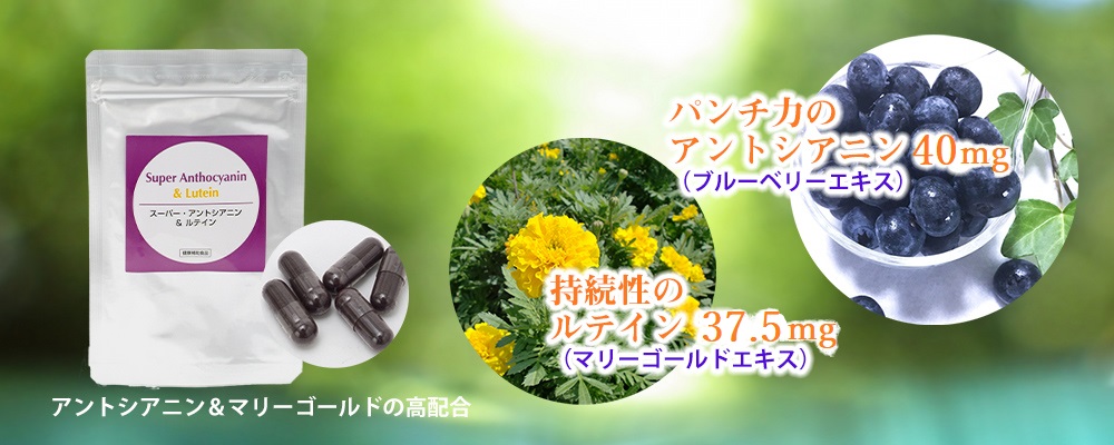 桑の葉粉茶（青汁）「京乃桑伝説」