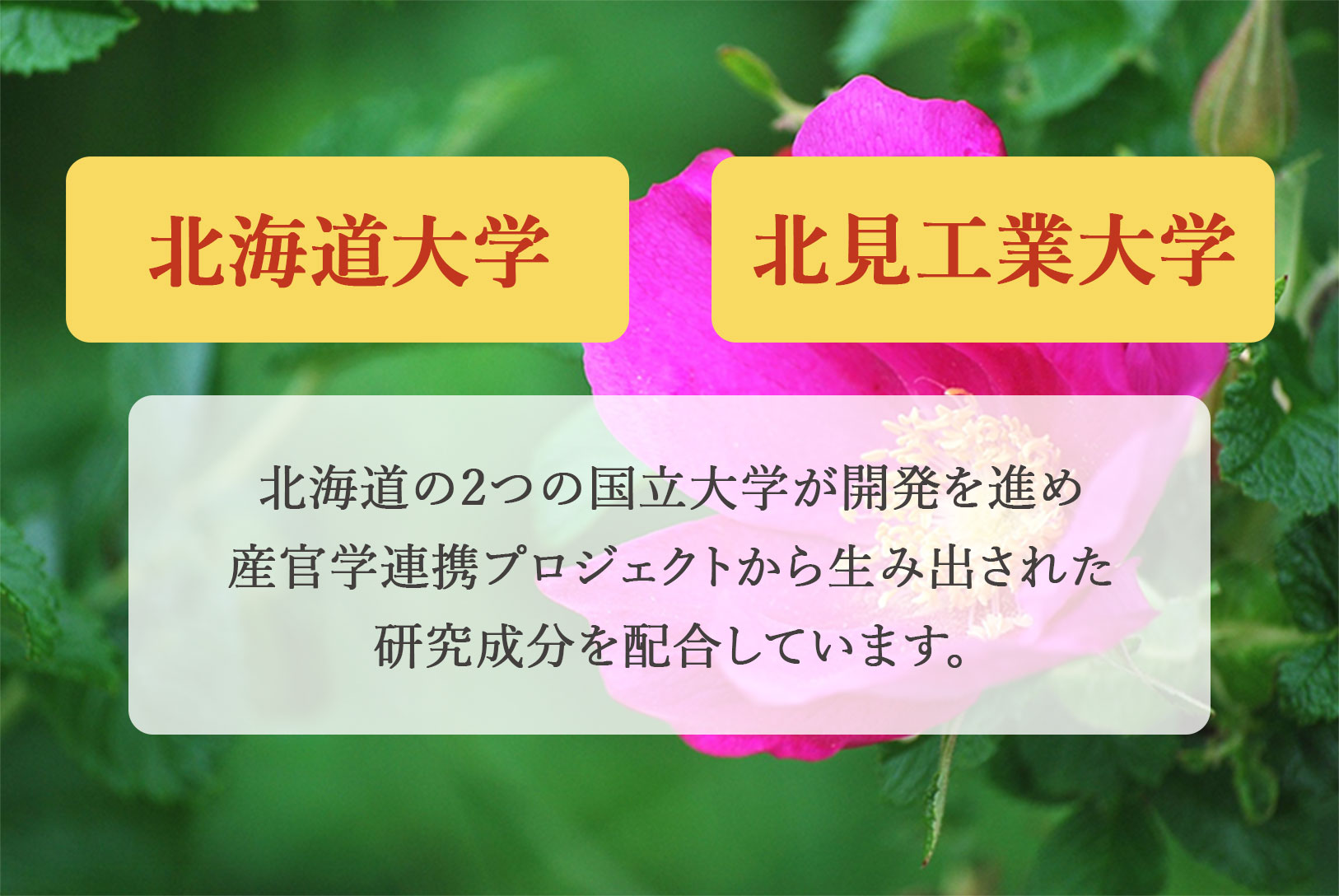 北海道の2つの国立大学が開発を進め産官学連携プロジェクトから生み出された研究成分を配合しています。